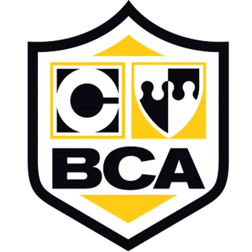 B.C.A. College